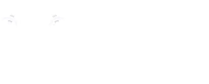 Gina logo white

